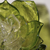 ..Small Green Lotus <br>Hot Sculpted Glass<br>10 x 10 x 8.5 inches